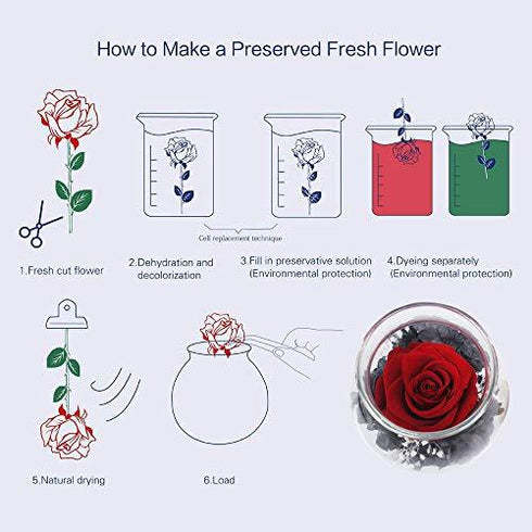 Real Rose in Glass